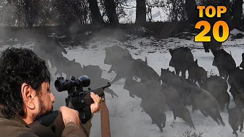 EN İYİ 20 DOMUZ AVI (AĞIR ÇEKİM) - TOP 20 WILD BOAR HUNTS (SLOW MOTİON)