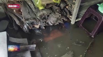 Triều cường dâng cao ảnh hưởng đến cuộc sống người dân