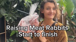 Celebrity Raising meat, rabbits from start to finish ￼ Profile