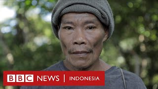 Tambang emas Pulau Sangihe mengancam hutan dan burung endemik yang hampir punah - BBC News Indonesia