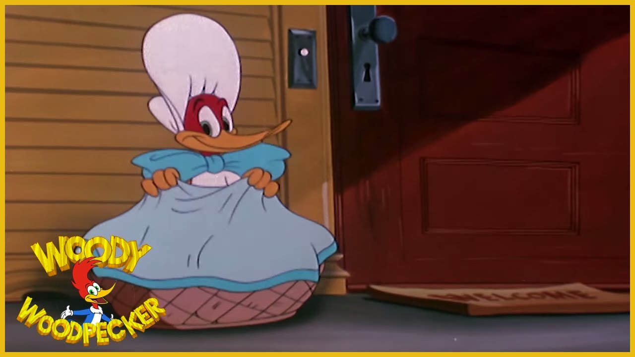 Woody Woodpecker Baby Woodpecker Full Episodes Youtube Woody Woodpecker Baby Woodpecker Full Episodes Youtube