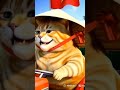 mèo  mập vàng đội nón lá #viralvideo #cat #video #viralshort #viralshorts #viralvideos #videos