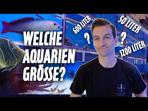 Aquariengrößen für FISCHE