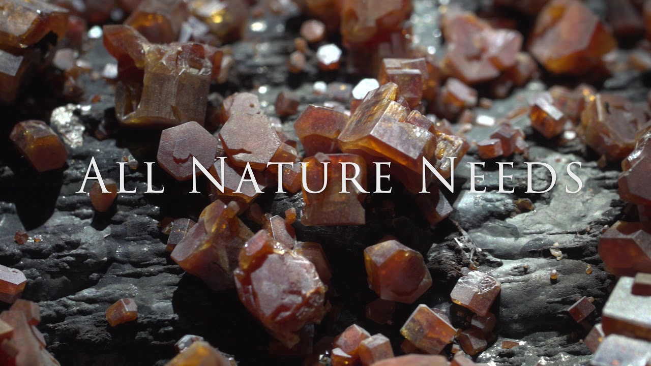 museums in london Exhibit Hall Overview: Cullen Hall of Gems and Minerals