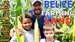 INVESTING FARMING INDUSTRY BELIZE