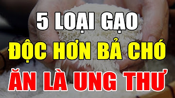 BS Cảnh Báo 5 LOẠI GẠO CỰC ĐỘC Cực Nguy Hiểm, Cấm Nấu Ăn Kẻo UNG THƯ ,Càng Ăn Càng Tổn  Thọ