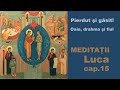 Meditatii la Evanghelia dupa Luca 15. Pr. Claudiu Melean.