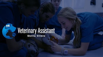 Veterinary Assistant Skills Clinic at EVIT
