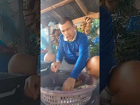 ผลสลากกินแบ่งรัฐบาล วันที่ 1 พย. 2567 ผลสลากกินแบ่งรัฐบาล วันที่ 1 พย. 2567