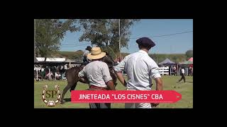 jineteadas los cisnes 2021
