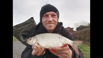 Stick float fishing for big rudd and roach. On small river.