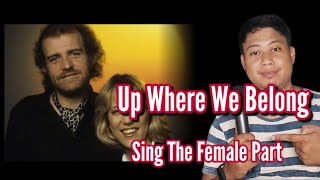 Up Where We Belong - Jennifer Warnes and Joe Cocker / Karaoke / Male Part Only