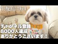 【生配信#64】㊗️シーズー犬はにちゃんねる登録者8000人達成ありがとうございます！お知らせあり！あの有名人も参戦？！最後は盛り蕎麦配信で大爆笑！（2023.6.10）