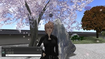 Second Life Camera HUD KERBEROS Common usage3.