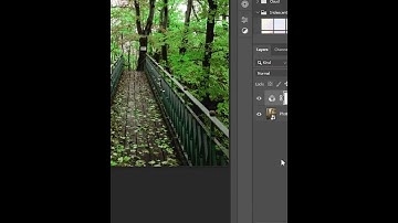 Autumn to Spring change #adobe #photoshop #tutorial #shorts #reels #video