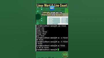 Mastering Linux wc Commands Real Life Demo & Examples | #Linux #Unix #shorts