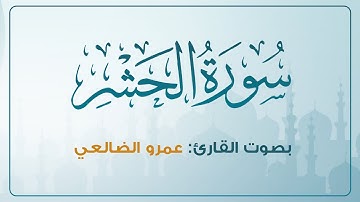 ترتيل إبداعي | سورة الحشر | عمرو الضالعي
