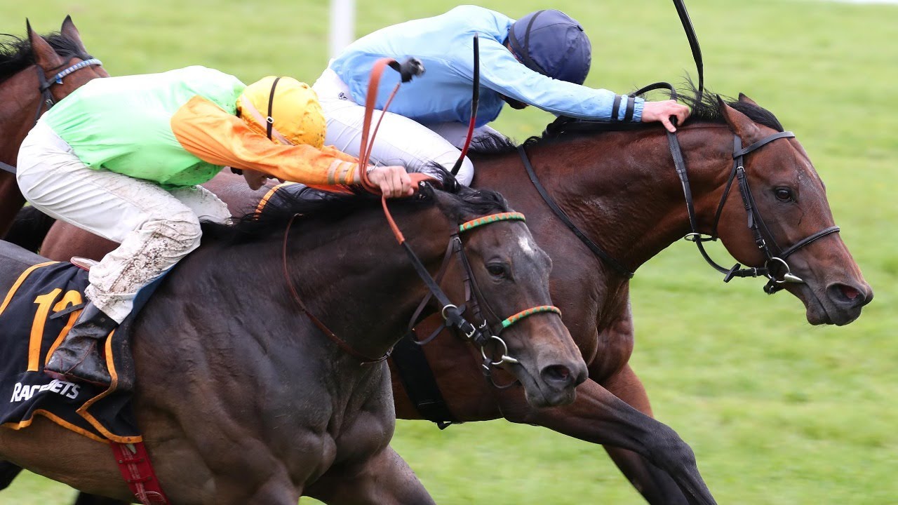 Renntag in Baden-Baden am 06.09.2020 - YouTube