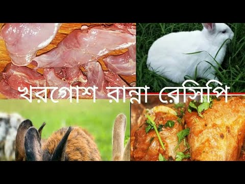 ভিডিও: কিভাবে একটি ওয়াইন স্টিউড খরগোশ রান্না করা