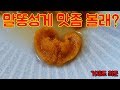 말똥성게 손질법, 자연산 전복은 덤이다, 진짜 덤!!