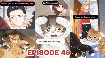 Cats Show Affection in Their Own Special Ways - Animation And Real Life Ep 46