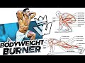 Full Bodyweight Workout (Strength & Conditioning)