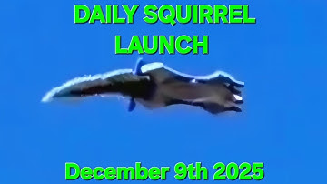 Squirrel Launcher 12-9-2025 #squirrellauncher ##squirrelcatapult #launching #catapult