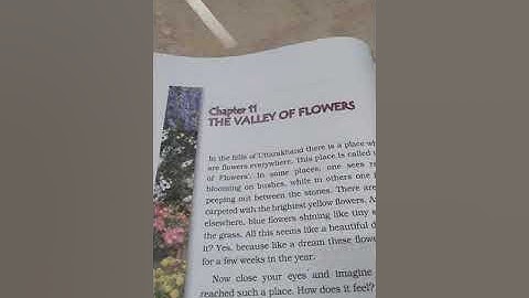 Class IV EVS 27.8.21(Friday) Chapter -11 The Valley of Flowers
