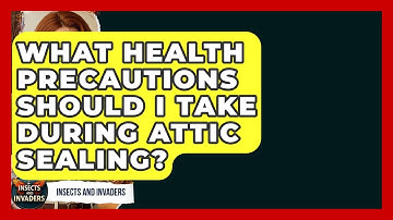 What Health Precautions Should I Take During Attic Sealing? - Insects and Invaders