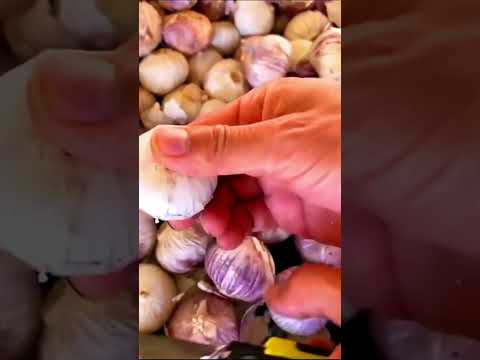 افضل طريقه لتقشير الثوم 