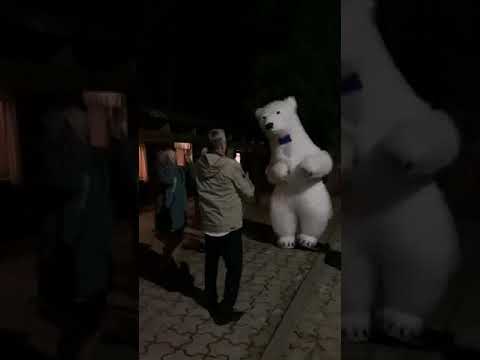 Есть ещё порох или презент от юбиляра! 😅 Медведь поздравляет с юбилеем в Жодино.