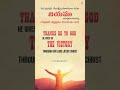 #aelc #teluguchristiansongs #lutheranchurch #wordofgod #quotes #andhrakristavakeerthanalu #bible