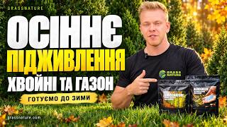 Осіннє підживлення саду