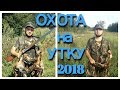 Охота на уток, открытие 2018 - На подъем, вечерний лет, охота удалась