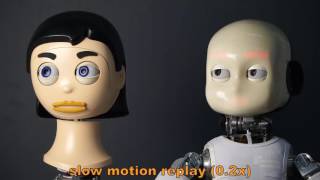 Humotion - A human inspired gaze control framework for anthropomorphic robot heads
