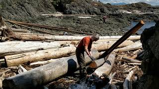 Beachcombing for Cedar - South Ender