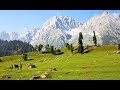 Kashmir 2017- Day 4- Pahalgam/Baisaran Valley/Longest Pony ride/Most Thrilling/Mini Switzerland