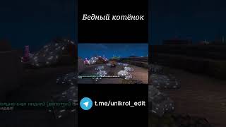 Бедный котёнок #юни #майнкрафт #minecraft  #minecraftmemes #minecraftshorts #игры #майн #юмор
