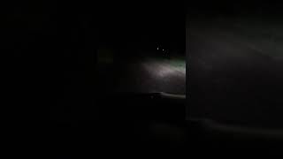 Köyde Önümüze Çikan Yaban Tavşani L