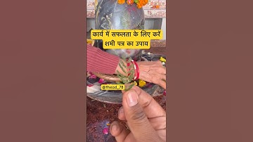 कार्य में सफलता के लिए करें शमी पत्र का उपाय #pradeepmishra #mahadev #pradeepmishrajikeupay #शिवलिंग