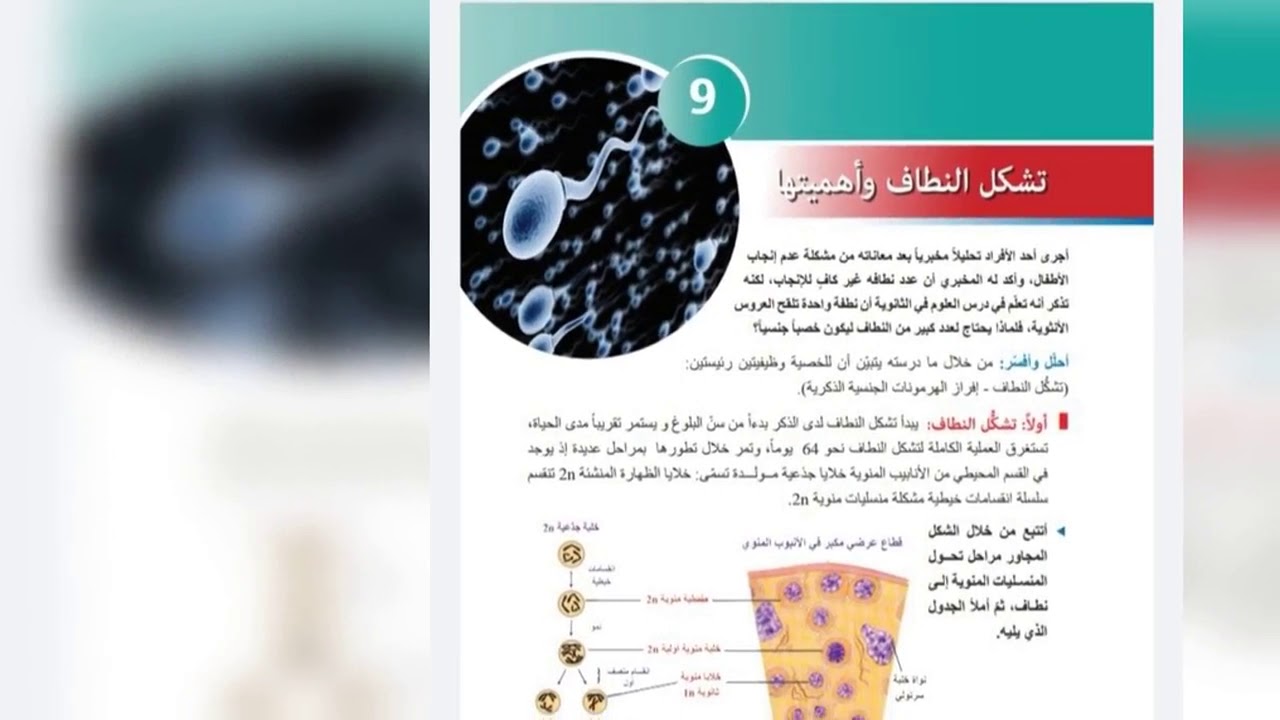 بكالوريا علوم . . تشكل النطاف وأهميتها. . أ. نضال أقجه🧠💯