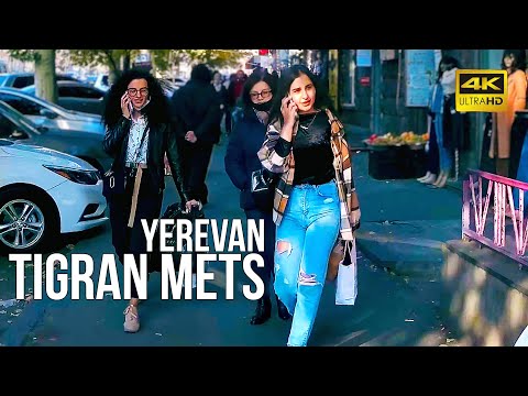 Vídeo: Com Arribar A Erevan