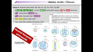 Amino acid Classification: Polar, nonpolar, Hydrophilic, Hydrophobic, acidic and basic