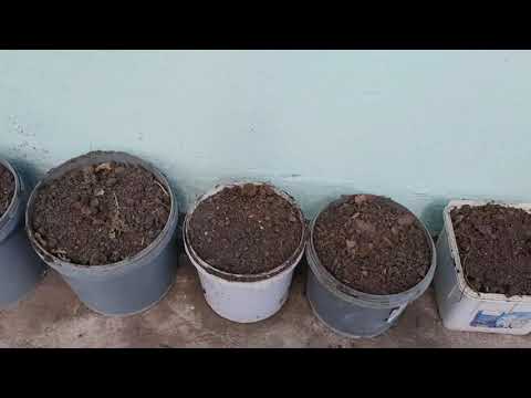 فيديو: كم لتر من التربة في كيس كبير؟