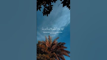 (ولو يؤخذ الله الناس بظلمهم)--القارئ عبدالرحمن مسعد ❤️🎧