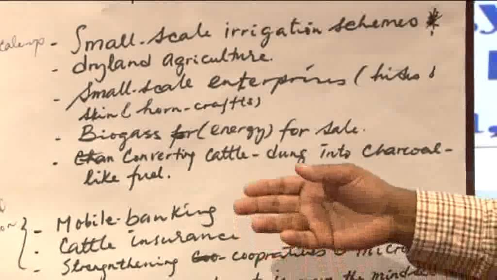 Intervention Pathway 3: Diversified and Sustainable Livelihoods