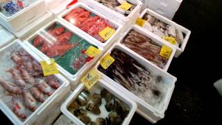 Japan through Google Glass: Tsukiji Fish Market (築地市場)