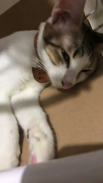 Aku pamit turu 😅😅😅 gasik