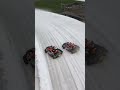 Frozen tracks, fiery laps 🔥❄️ #redbullracing #redbullmotorsports