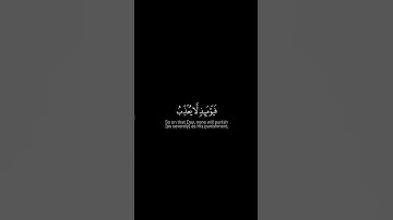 ﴿يقول يا ليتني قدمت لحياتي﴾ سورة الفجر رعد الكرديMuslim book